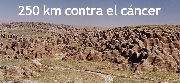 250kmcontraelcancer 250kmcontraelcancer